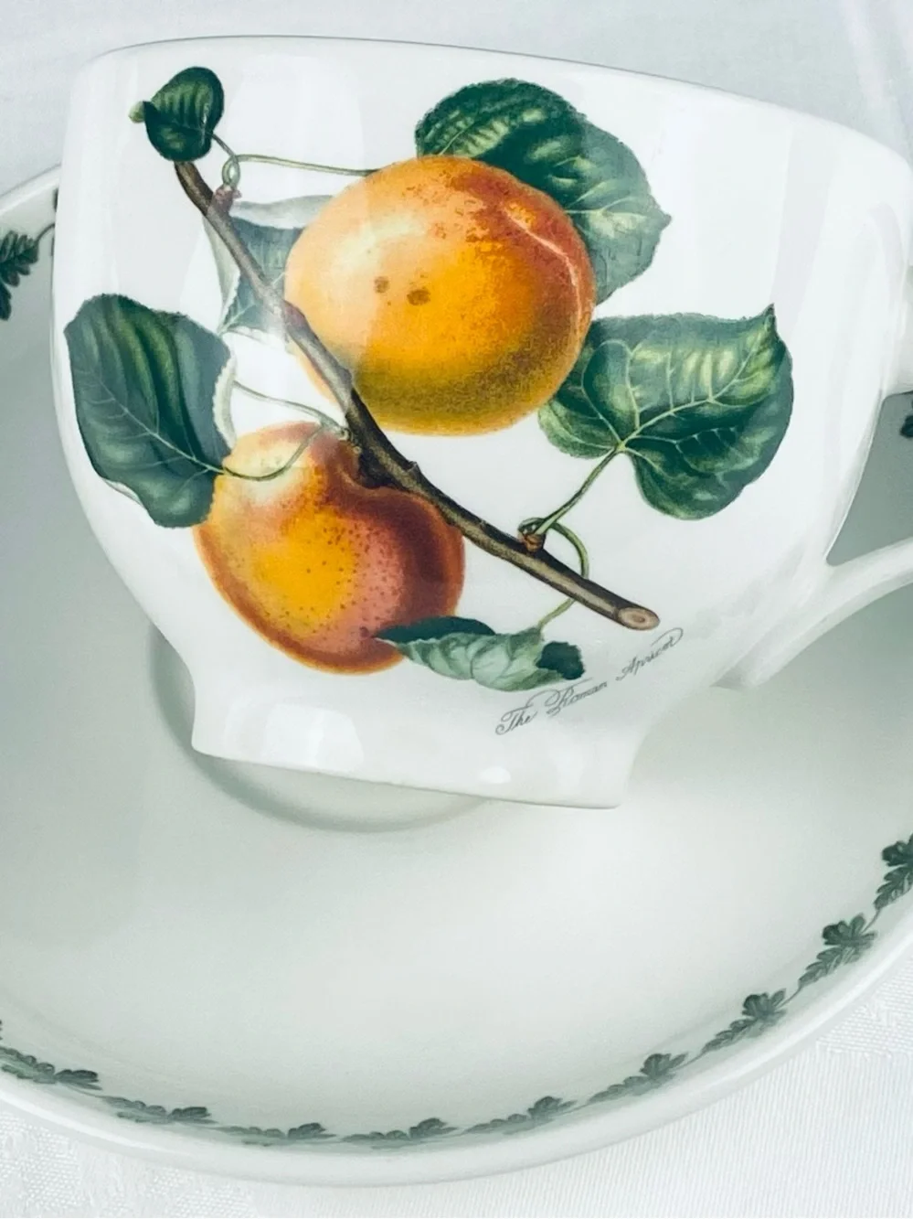 Portmeirion Cup and Saucer “The Roman Apricot” Pattern